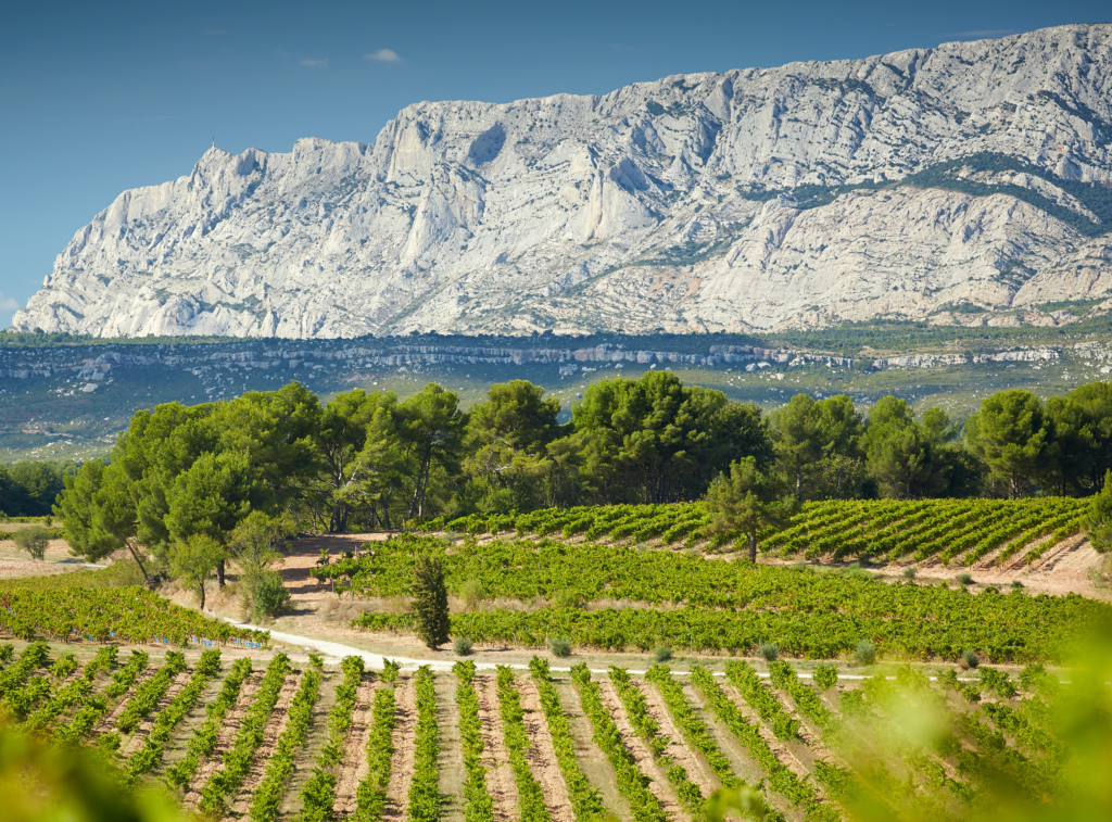 Destimed vins sainte victoire150 copie 2