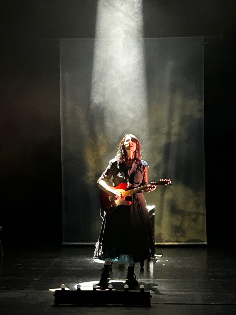 Destimed La Grande Sophie Photo Marseille Concerts 2