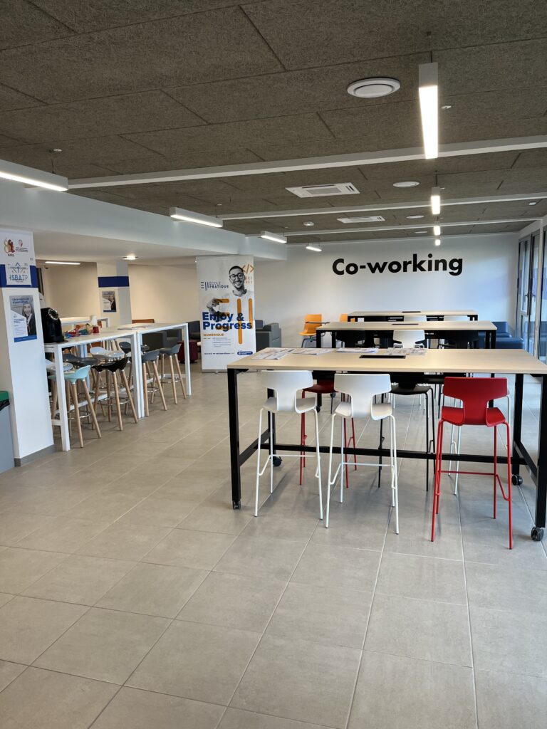 Destimed ISBA TP co working1