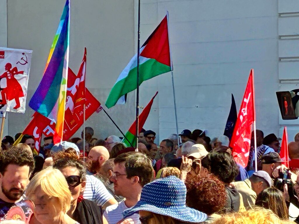 Destimed MANIF 1