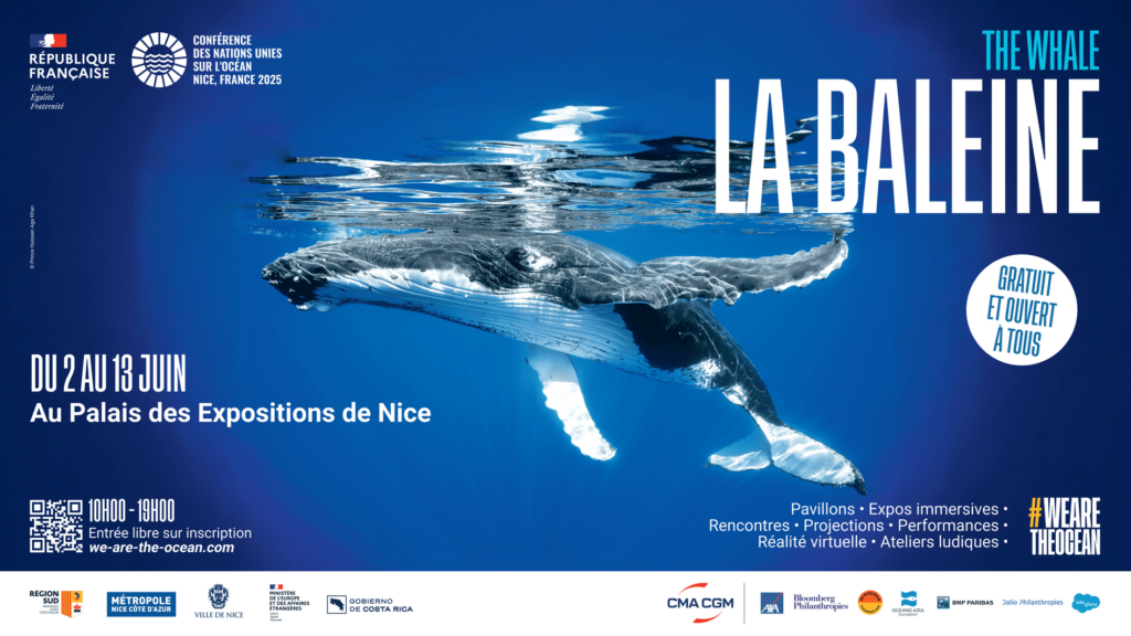 Destimed 1920x1080 Baleine2 1 min 1 min 1 1 1 1