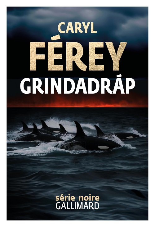 Destimed Grindadrap COUV copie