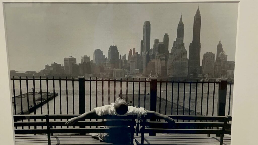 Destimed Stettner 2