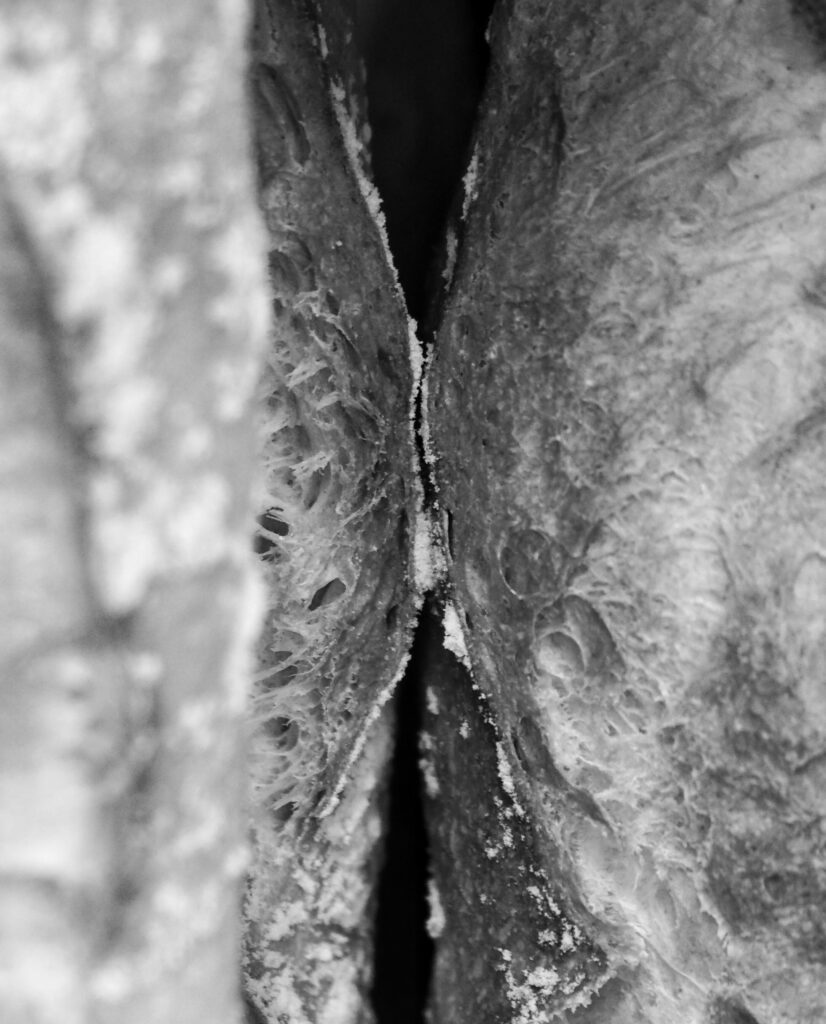 Destimed 11.soupir