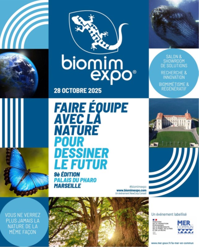 Destimed Biomim 2