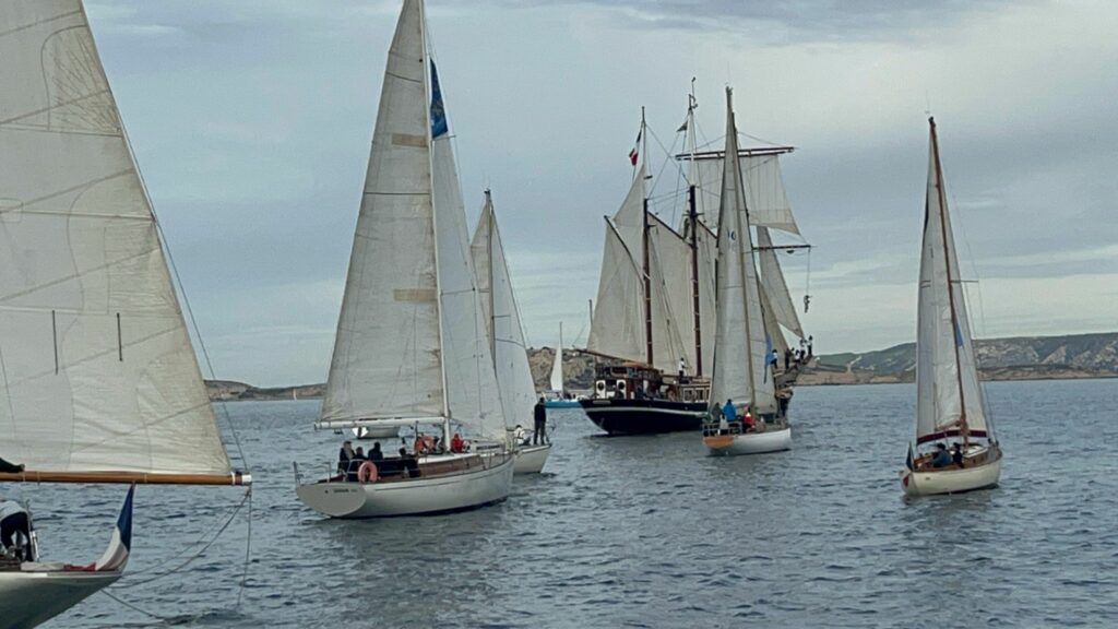 Destimed IMG 20251027 WA0010