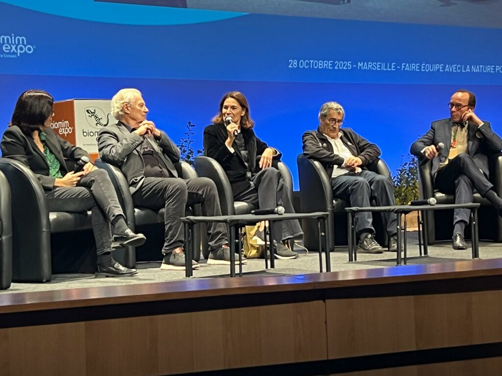 Destimed IMG 20251029 WA0005