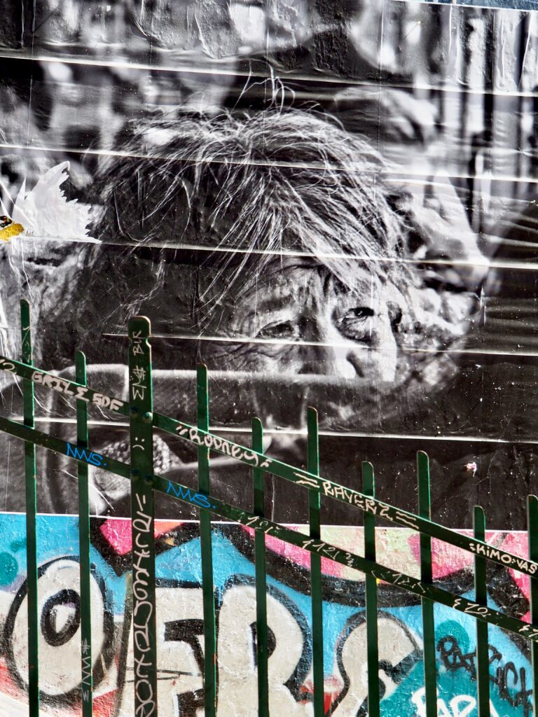 Destimed Hagay Sobol 2