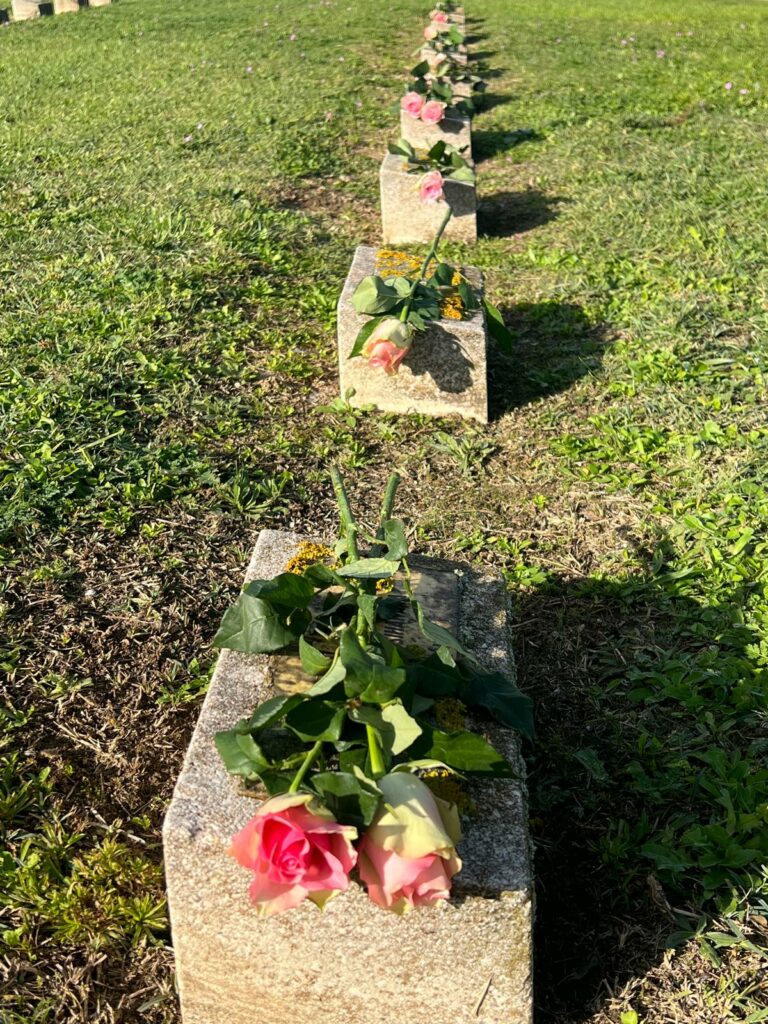 Destimed IMG 20251111 WA0000