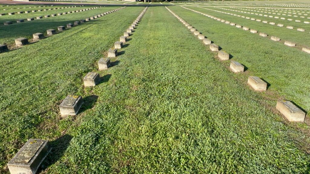 Destimed IMG 20251111 WA0006