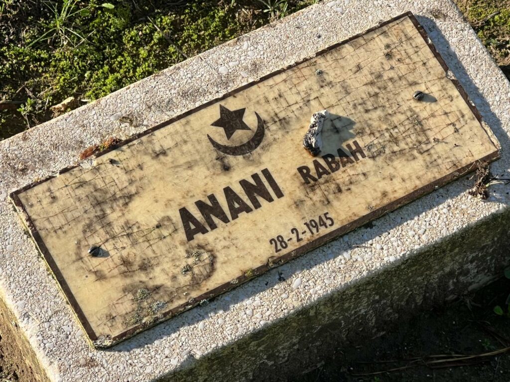 Destimed IMG 20251111 WA0009