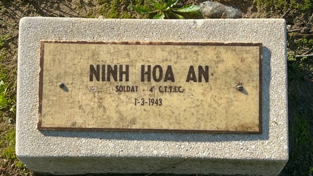 Destimed IMG 20251111 WA0010