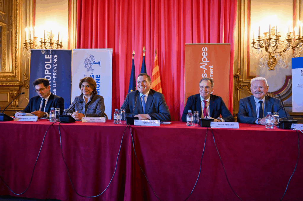 Destimed Regis CINTAS FLORES