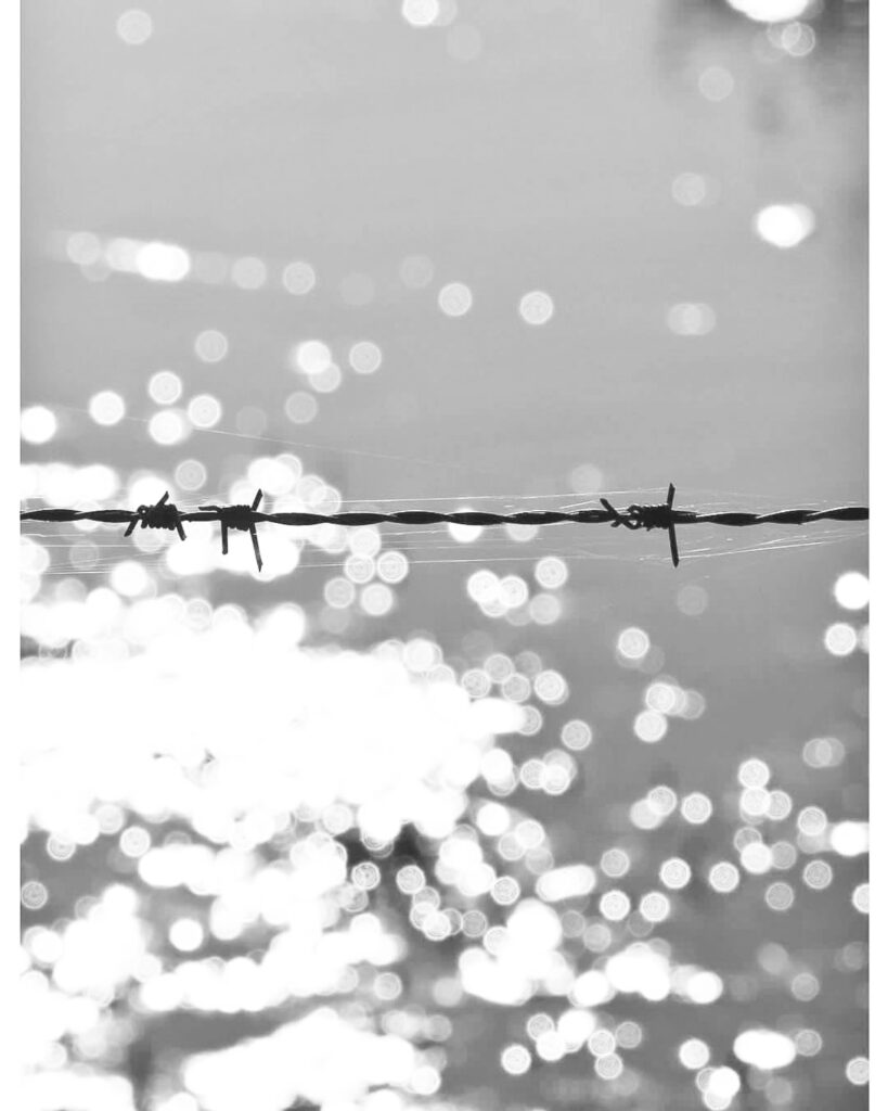 Destimed antisemitisme