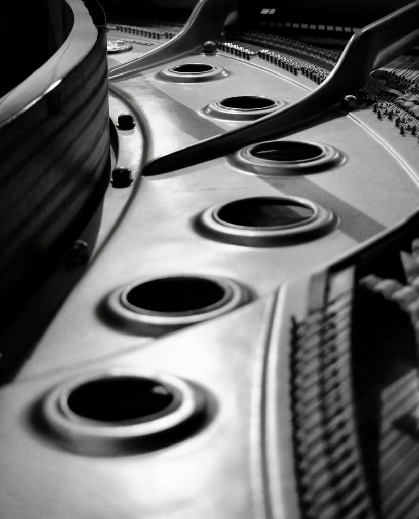 Destimed Hagay Sobol 4