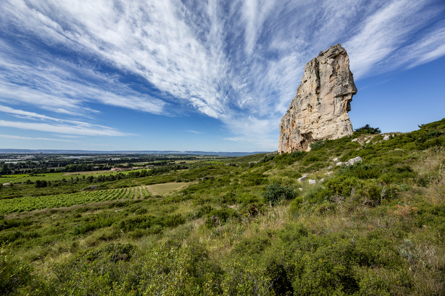 L’un des terroirs de l’appellation Coteaux d’Aix-en-Provence s’étend sur les rives de l’étang de Berre. © O.T. Salon-de-Provence