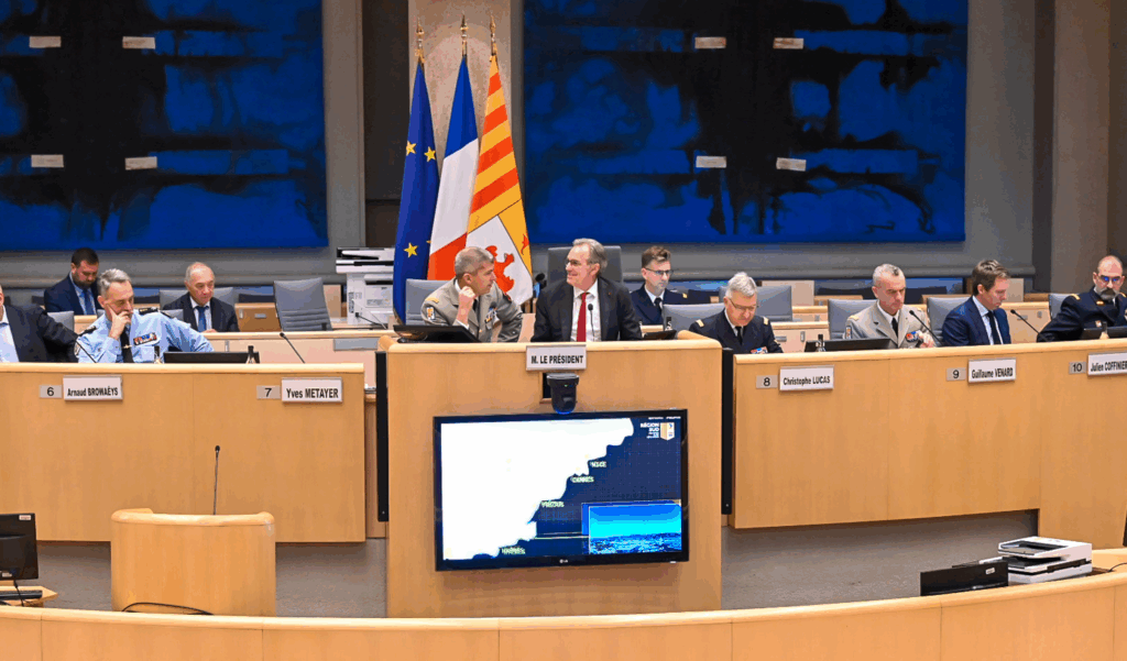 Destimed Regis CINTAS FLORES 1