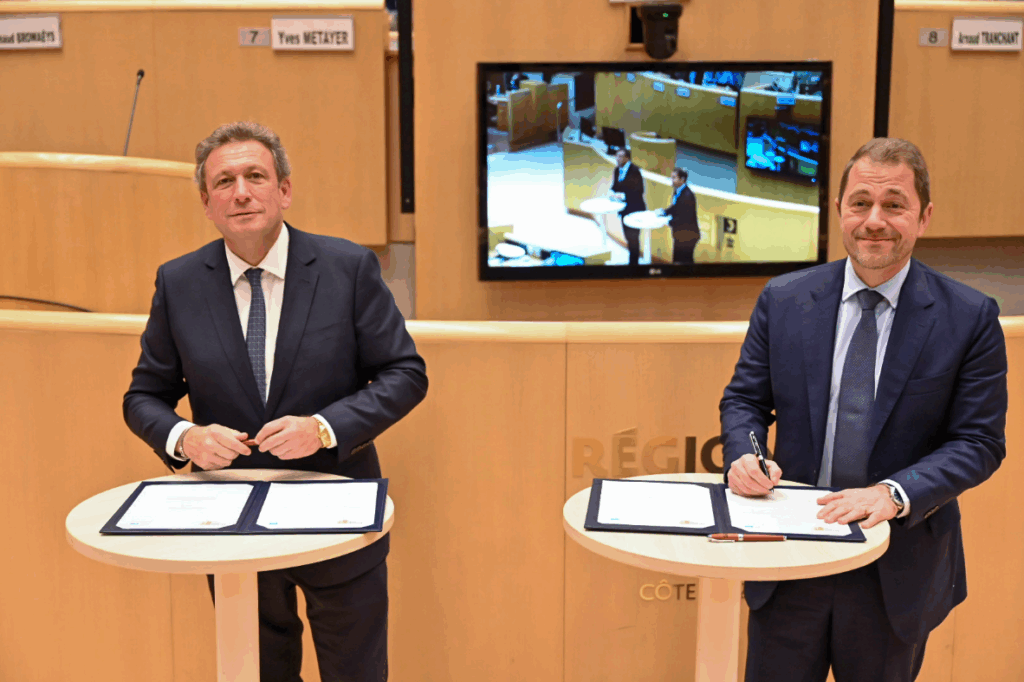 Destimed Regis CINTAS FLORES 2