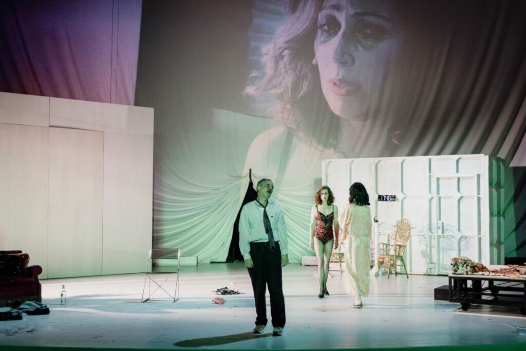 Destimed Le dindon Simon Gosselin 3 65jpg