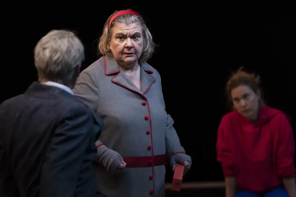 Destimed Christine Pignet au centre dans La Lecon Photo Vincent Beaume