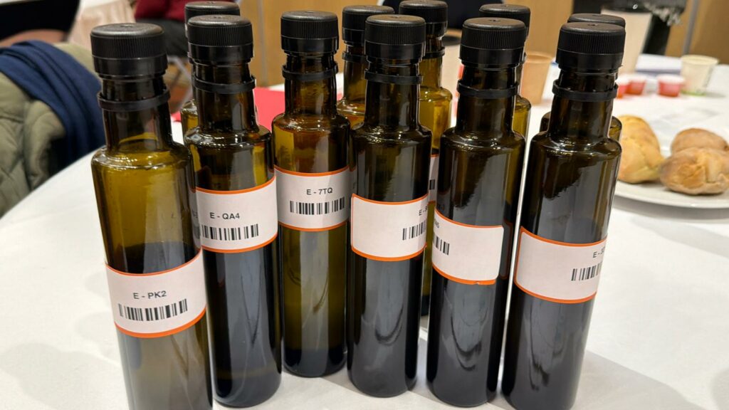 Destimed IMG 20260213 WA0000