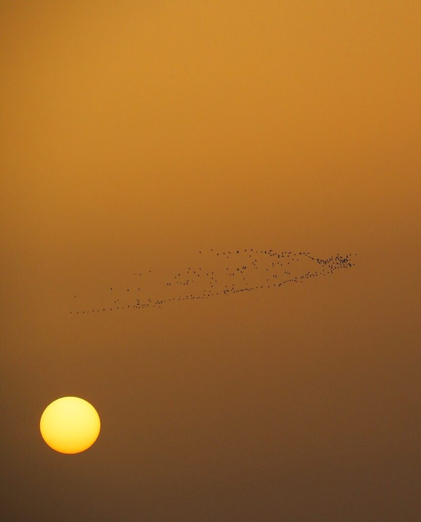 Destimed La vie est une abraction