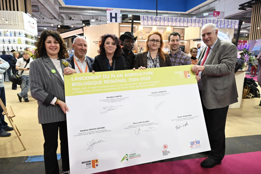 Destimed Regis CINTAS FLORES