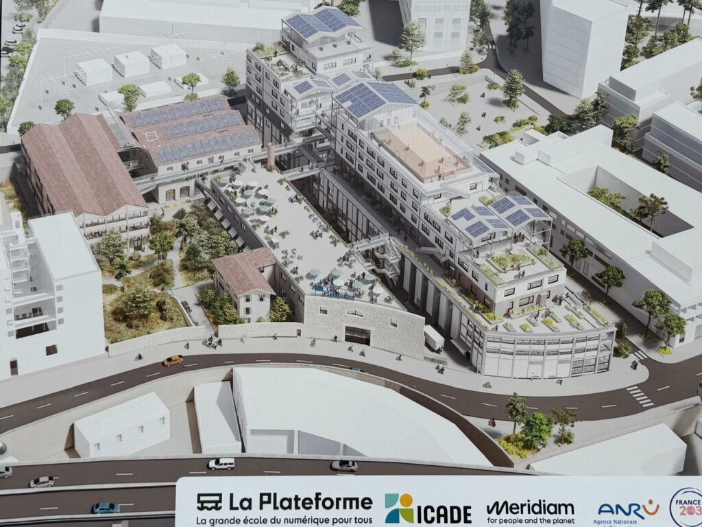 Destimed IMG 20260226 WA0012