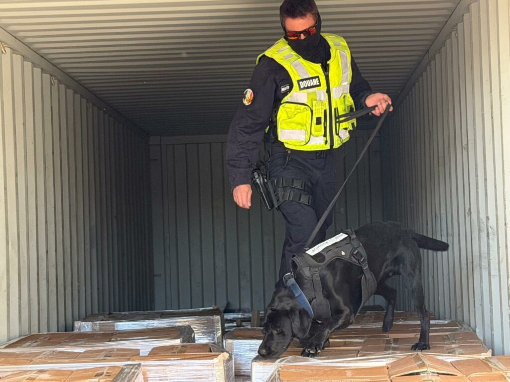 Destimed IMG 20260328 WA0004