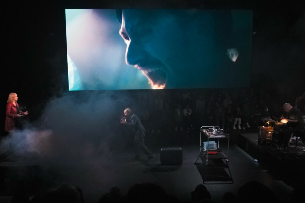 Destimed Laffaire.Photo Sebastien Dumas 2