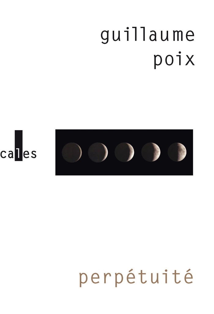 Destimed Perpetuite Couv K