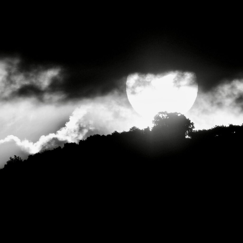 Destimed Suite iran 4