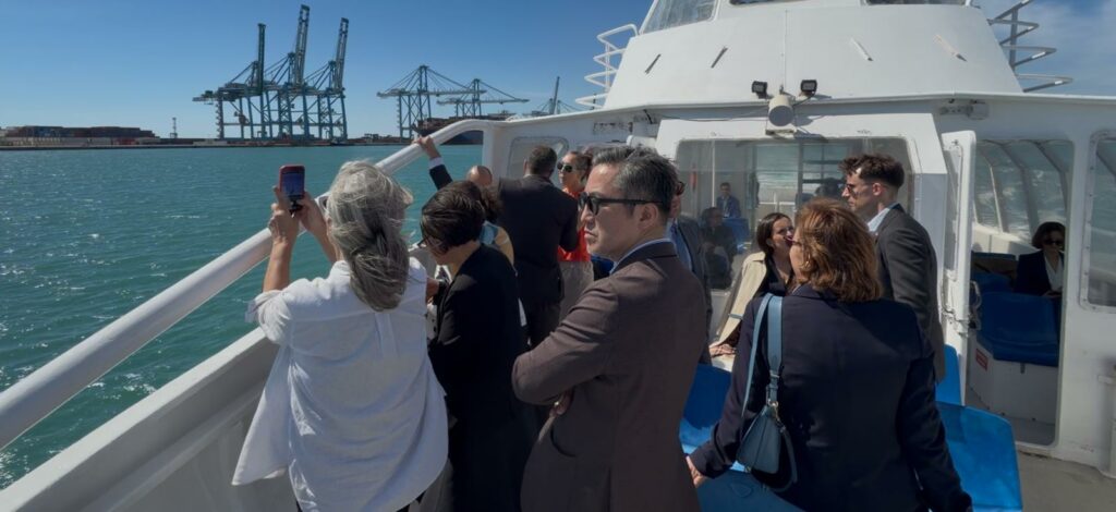 Destimed IMG 20260420 WA0010