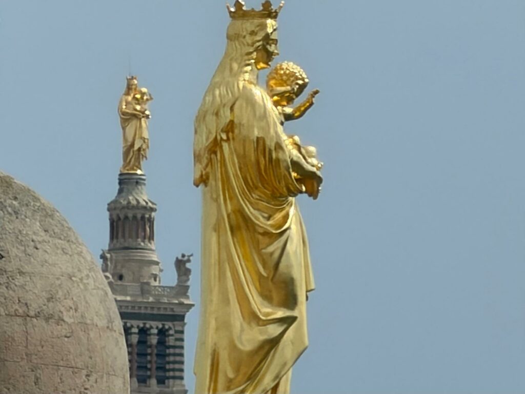 Destimed IMG 20260424 WA0008