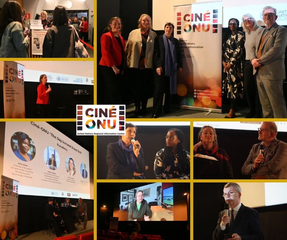 Destimed cine onu Iceland collage 002