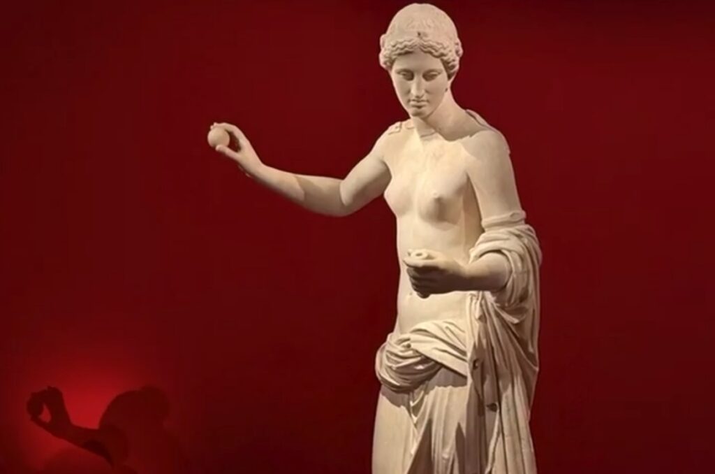 Destimed Venus 2