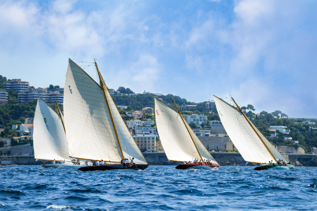 Destimed Voile