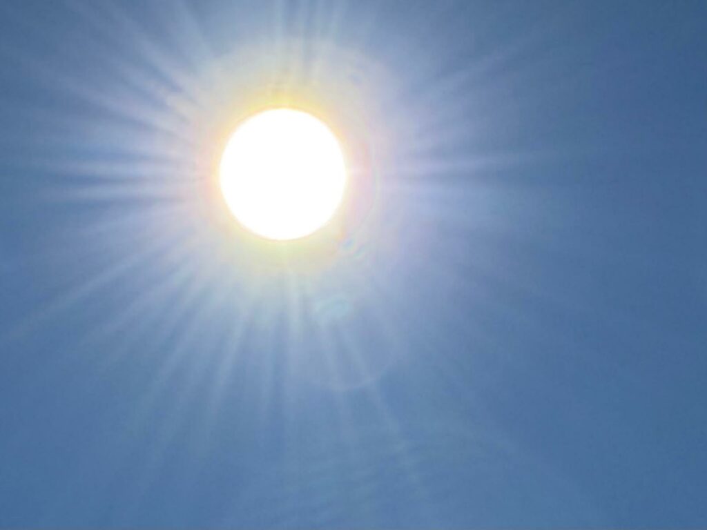 Destimed Canicule 5