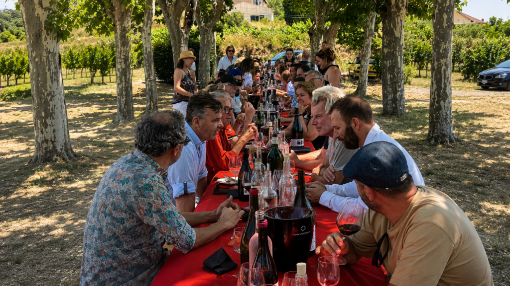 Destimed ROUGE Provence OK