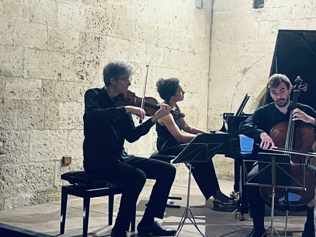 Destimed Trio Karenine a Silvacane Photo Isabel Roz